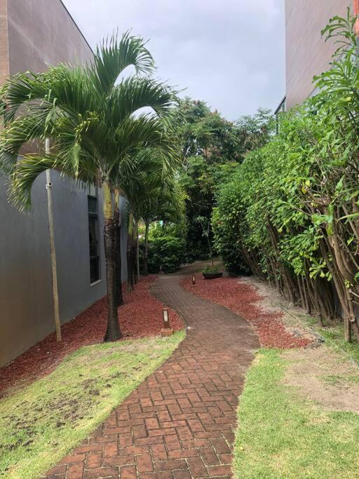 Village Amplo E Aconchegante! Solaris Imbassai Mata de São João Extérieur photo